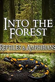 bryan maltais|Into the Forest: Reptiles & Amphibians (2019) .